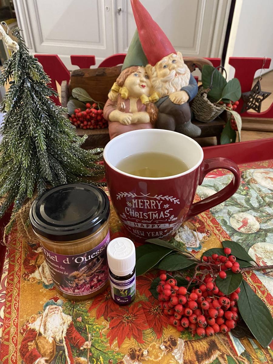 Bienfaits du Thym, plante médicinale aux multiples bienfaits