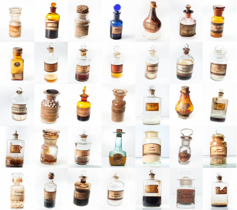 Pourquoi Deboterah indique le nom des plantes en latin ?