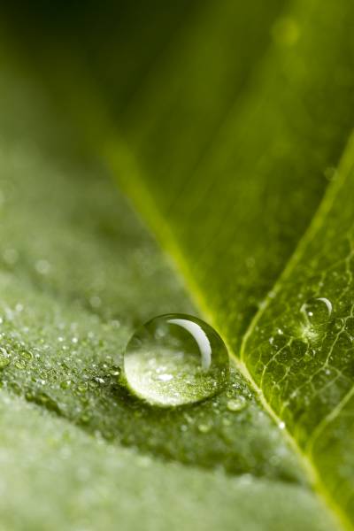 Les astuces pour bien s'hydrater