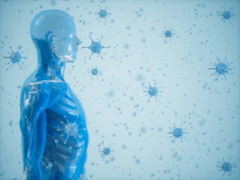 Bienfaits des compléments alimentaires pour l'immunité à Lille